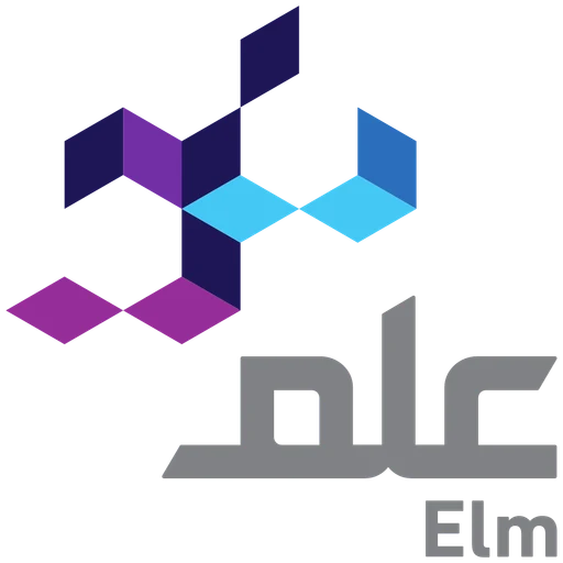علم — النسخة 1