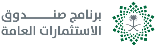 برنامج صندوق الاستثمارات العامة — النسخة 1